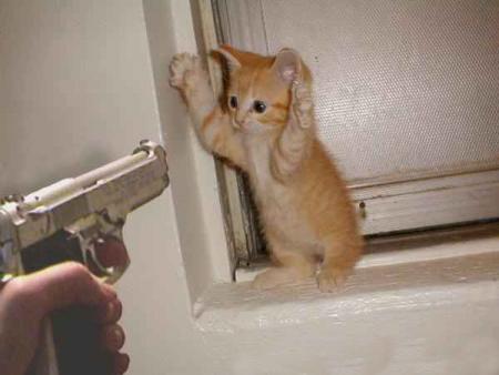 ho les mains