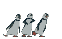 danse bien komme 1 pinguin