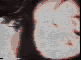 kurt cobain