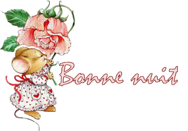 bonne nuit