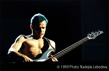 flea