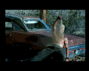 image du clip scar tissue des red hot chili peppers