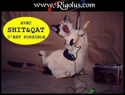 ya po ke moi ki msuis mis a la guitare