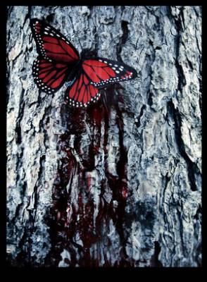 butterfly in the blood