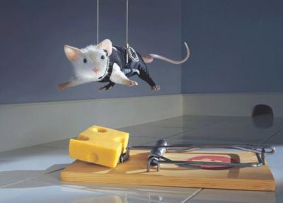 et oui les souris sont tres maline elle ossi