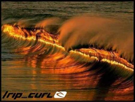 rip-curl